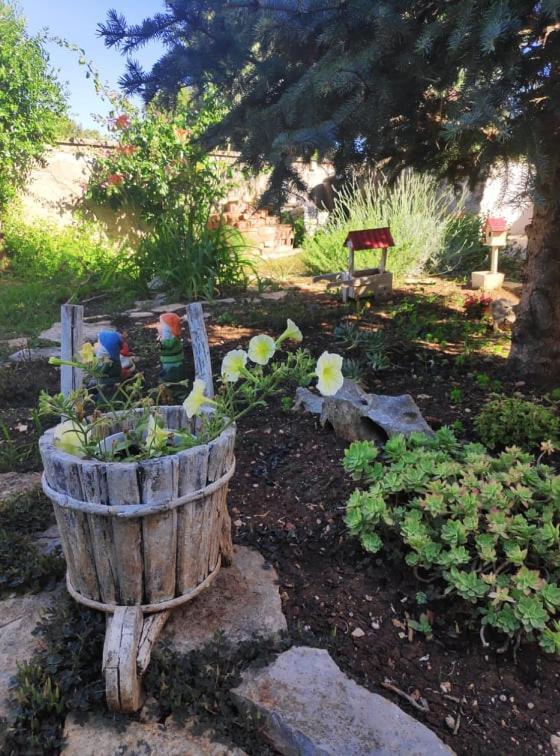 Apartmani Lucica يزيرا المظهر الخارجي الصورة