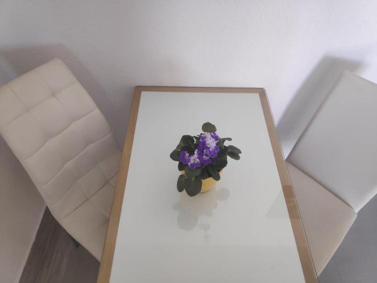 Apartmani Lucica يزيرا المظهر الخارجي الصورة