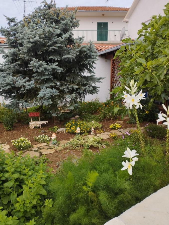 Apartmani Lucica يزيرا المظهر الخارجي الصورة