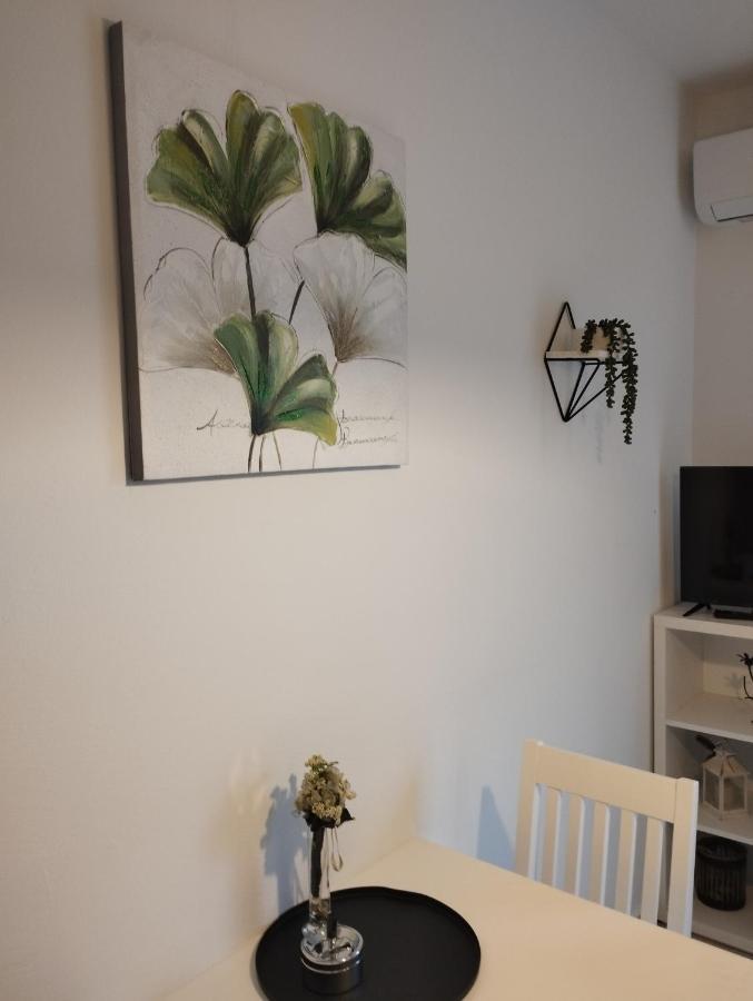 Apartmani Lucica يزيرا المظهر الخارجي الصورة