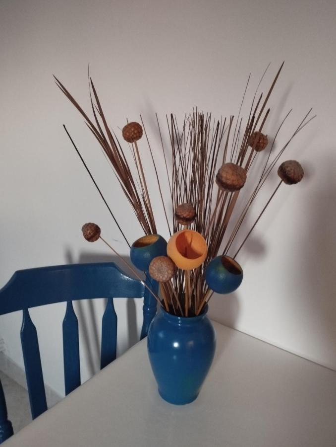 Apartmani Lucica يزيرا المظهر الخارجي الصورة